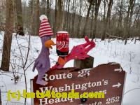 /home//u458753944/public_html/sourcegallery//Chickens/Valley Forge/IMG_20201220_122837874_HDR.jpg